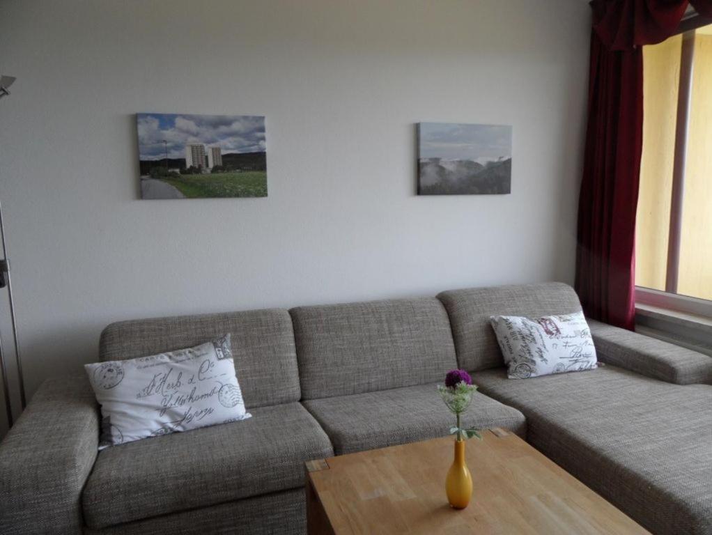 Ferienapartment Mit Schwimmbad Und Bergblick Braunlage Εξωτερικό φωτογραφία